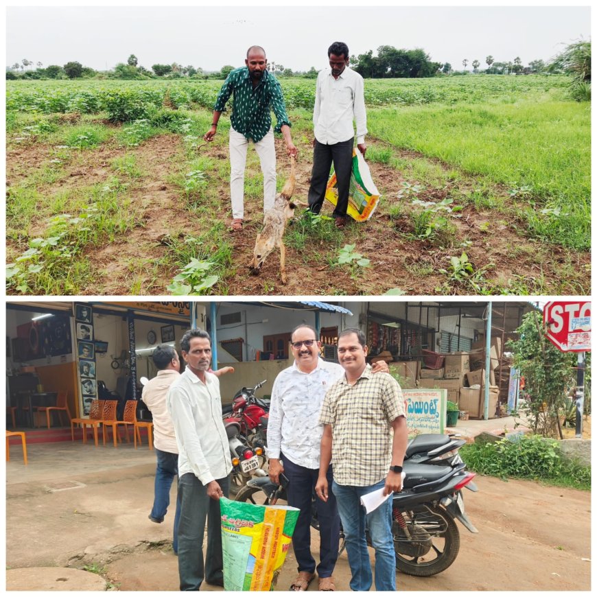 మానవత్వంతో మూగజీవాన్ని కాపాడిన రిపోర్టర్ 