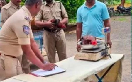 పందెం కోళ్లను వేలం వేసిన పోలీసులు..