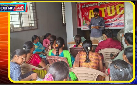 ఏం ఎల్ ఎచ్ పి వైద్యులను ప్రభుత్వ ఉద్యోగులుగా గుర్తించాలి.