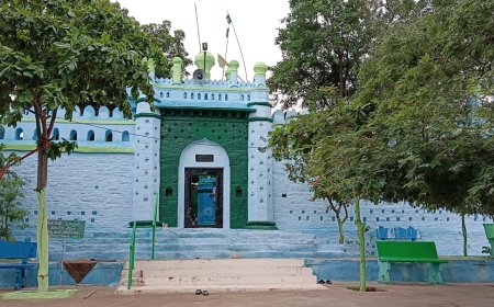 హజ్రత్ దౌలత్ పీర్ సాహెబ్ దర్గా ఉర్సు   