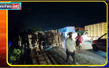 రొయ్యల వాహనం బోల్తా  ఎగబడ్డ స్థానికులు....