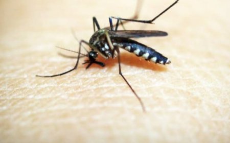 పాడుబడిన పాగింగ్ మిషన్లు పట్టించుకోని అధికారులు