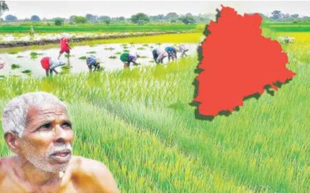 రుణమాఫీ ఫిర్యాదులు ‘లక్ష’.. ‘లెక్క’లోకి రానివి మరెన్నో..!