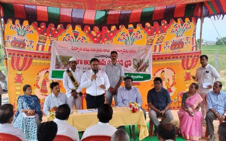 డిమాండ్ ఉన్న ఆయిల్ పామ్ తోటలను సాగుచేయాలి.