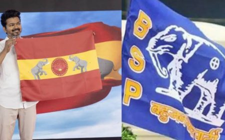 విజయ్ పార్టీ జెండాపై ఈసీకి ఫిర్యాదు చేసిన బీఎస్పీ