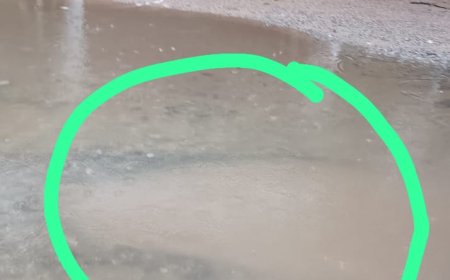 అడుగుకో గొయ్యి..