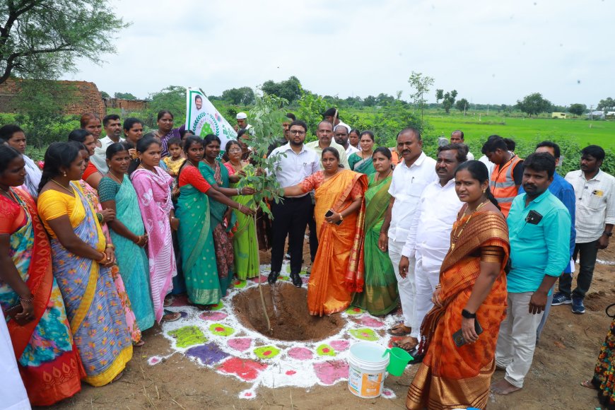 చెట్లను నాటండి పర్యావరణాన్ని కాపాడండి జిల్లా కలెక్టర్