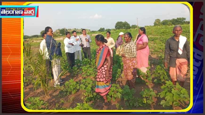 మహిళా కూలీలతో రాయల మాట ముచ్చట...!