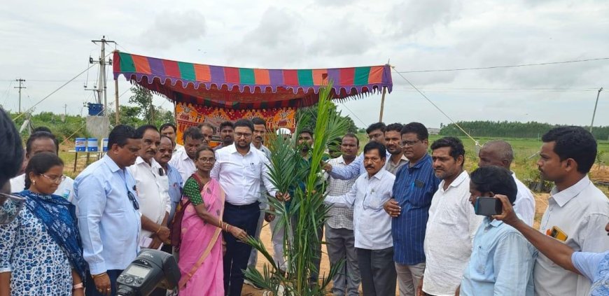 డిమాండ్ ఉన్న ఆయిల్ పామ్ తోటలను సాగుచేయాలి.