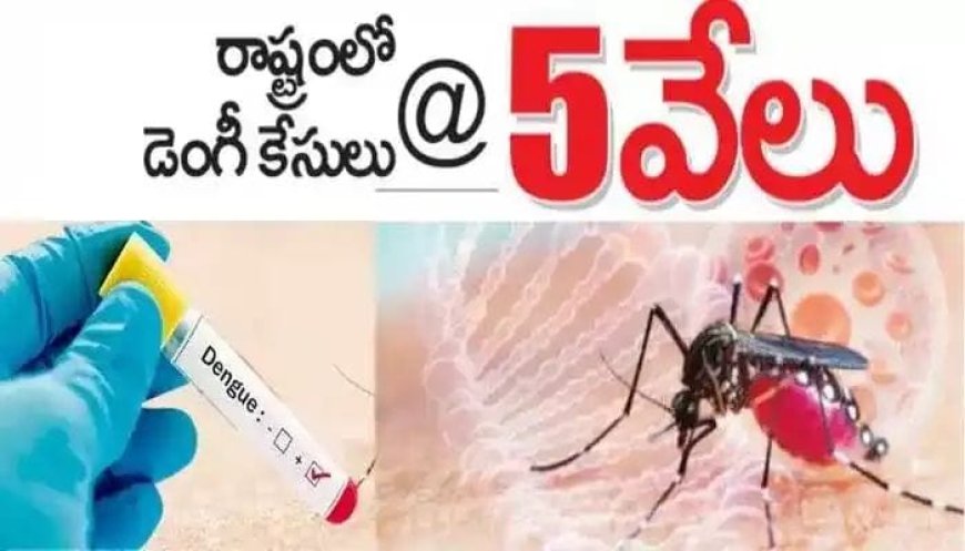 రాష్ట్రంలో భారీగా పెరిగిన డెంగీ కేసులు.. రెండున్నర లక్షల మందికి జ్వరాలు