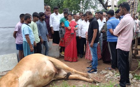 బాధిత కుటుంబాలను పరామర్శించిన జెడ్పి మాజీ చైర్ పర్సన్ సరిత...