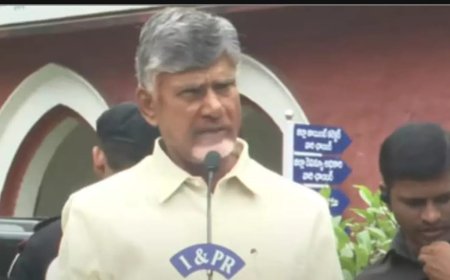 పనిచేయని మంత్రులనూ పీకి పారేస్తా : చంద్రబాబు