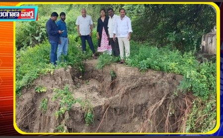 చెరువులను పరిశీలించిన అధికారులు 