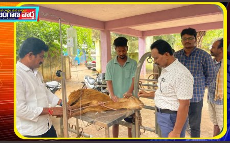 రంగుల వలయ పూల మొక్కల మాయతో    యలమందా  జర నీ గొర్రెల మందలు పైలం