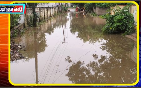 తుంగతుర్తి లో నాయకులతో కాని పని అధికారులు చేసి చూపించారు