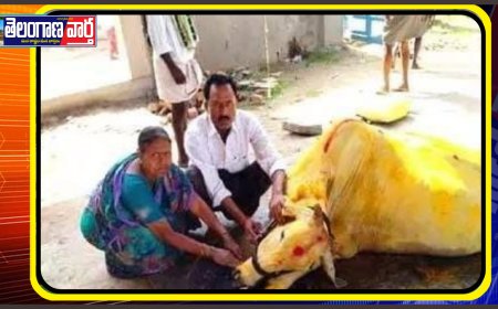 గోమాతకు అంతిమ వీడ్కోలు..ఘనంగా అంత్యక్రియలు