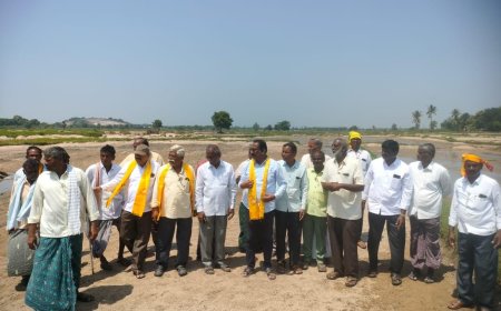 **వరద ప్రాంతాల పంట పొలాలను పరిశీలించిన తెలుగుదేశం పార్టీ నాయకులు.* జిల్లా నాయకులు కొండబాల కరుణాకర్*