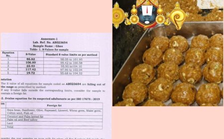 తిరుపతి లడ్డూలో జంతువుల కొవ్వు.. ల్యాబ్ రిపోర్ట్ విడుదల చేసిన టీడీపీ