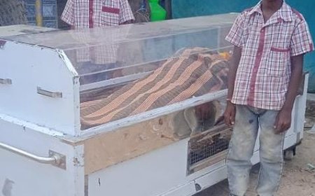 అనాధలైన చిన్నారులు