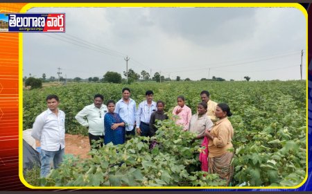 బడి బయట పిల్లలు పాఠశాలలో చేరేలా ప్రత్యేక కార్యాచరణ జిల్లా ఎంప్లాయిమెంట్ అధికారి.