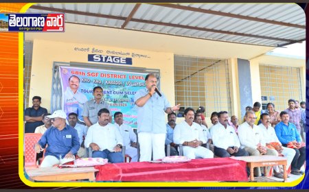 బాలికలు అన్ని రంగాలలో రాణించారు.