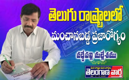 తెలుగు రాష్ట్రాలలో మంచానబడ్డ ప్రజారోగ్యం