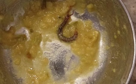 పప్పులో ప్రత్యక్షమైన జెర్రి