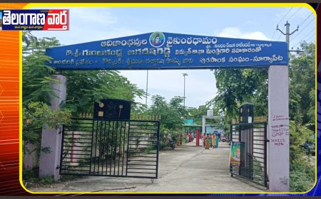 స్మశాన వాటికను పట్టించుకోండి