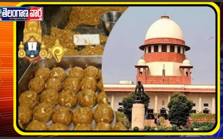 లడ్డూ వివాదంపై నేడు సుప్రీంకోర్టులో విచారణ