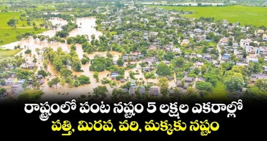 రాష్ట్రంలో పంట నష్టం 5 లక్షల ఎకరాల్లో!.. పత్తి, మిరప, వరి, మక్కకు నష్టం..!!