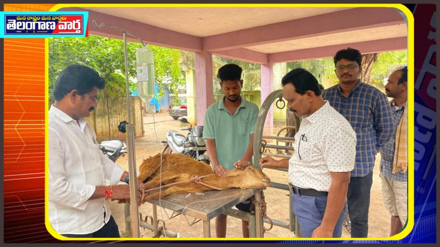 రంగుల వలయ పూల మొక్కల మాయతో    యలమందా  జర నీ గొర్రెల మందలు పైలం