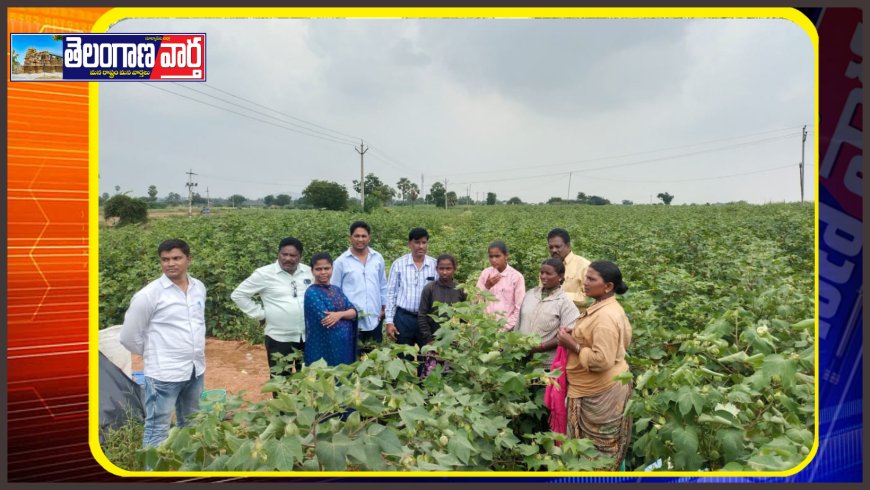 బడి బయట పిల్లలు పాఠశాలలో చేరేలా ప్రత్యేక కార్యాచరణ జిల్లా ఎంప్లాయిమెంట్ అధికారి.