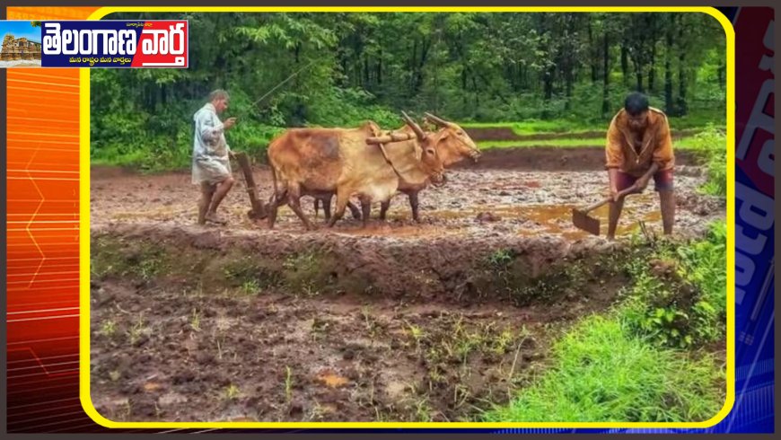 రైతులకు శుభవార్త.. అక్టోబర్‌ 5న పీఎం కిసాన్‌ నగదు జమ