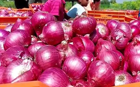 ఏపీలో కొండెక్కిన ఉల్లిధర