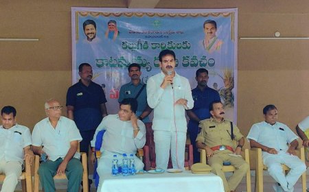 గీత కార్మికులకు కాటమయ్య రక్షణ కిట్ల పంపిణీచేసిన ఎమ్మెల్యే