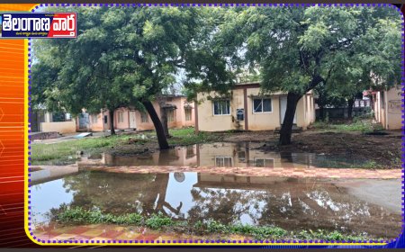 ఎంపీడిఓ ఆఫీసులో సిసి రోడ్ల పై వర్షపు నీరు 