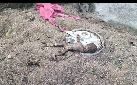 చెన్నారంలో మొగ శిశువు మృతదేహం.