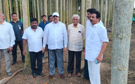 వక్కా పంట రైతన్నల ఇంట "సిరుల పంట"వక్క సాగును పరిశీలించిన తుమ్మల