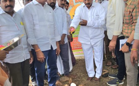 పల్లె పండుగతో గ్రామాల్లో అభివృద్ధి వెలువలు: ఎమ్మెల్యే శ్రీరామ్ తాతయ్య