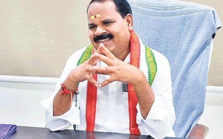సెలవులకు ఇంటికొస్తే సర్పంచ్‌ను చేశారు 