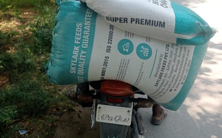 జిల్లాలో జోరుగా రేషన్ బియ్యం దందా