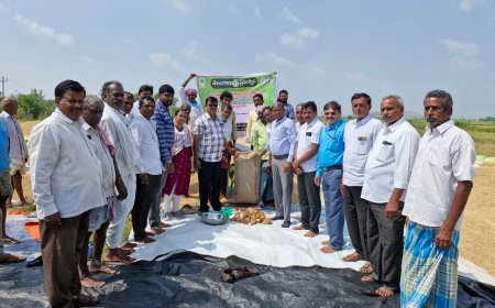 ధాన్యం కొనుగోలు కేంద్రం ప్రారంభం