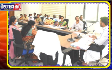 వైద్య సేవల పట్ల నిర్లక్ష్యం గా నిర్వహిస్తే కఠిన చర్యలు కలెక్టర్.