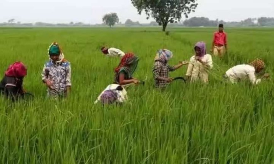 రైతుల ఖాతాల్లో రైతుభరోసా నిధుల జమకు డేట్‌ ఫిక్స్