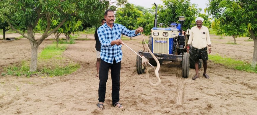 పడక విప్పిన నాగుపాము చింతకుంటలో వింత ఘటన!!