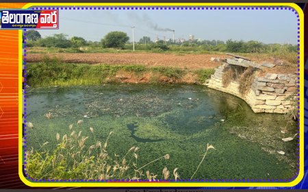 పల్లెలపై విషం చిమ్ముతున్న SNS కంపెని