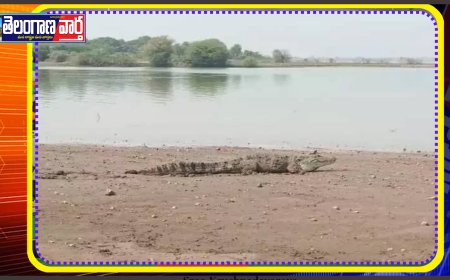 తుంగభద్ర నది తీరాన మొసలి కలకలం