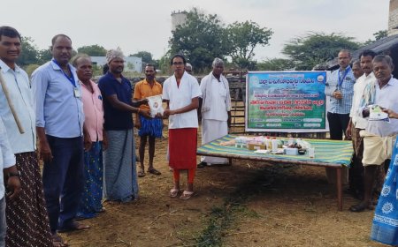 పశువులకు గర్భాదారణ పరీక్షలు  నిర్వహించిన డాక్టర్ స్వాతి