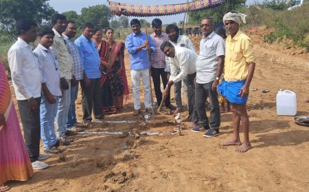 మహిల శక్తి ఉపాధి బరోస