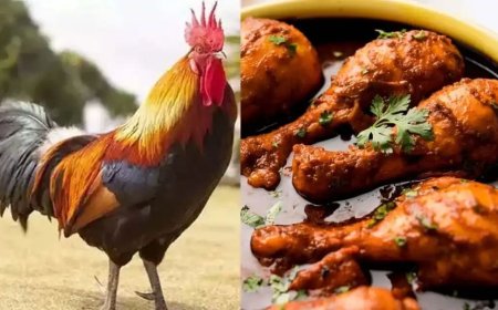 లోన్ ఇస్తానని నమ్మించి రూపాయలు 39వేల నాటు కోళ్లు తినేసిన ఎస్బిఐ మేనేజర్... ఎక్కడంటే